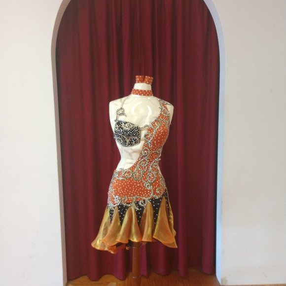 Professional Latin Dress - Picture 4 of 6